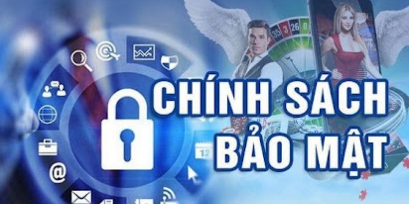 Cập nhật điều khoản trong chính sách mới nhất tại website